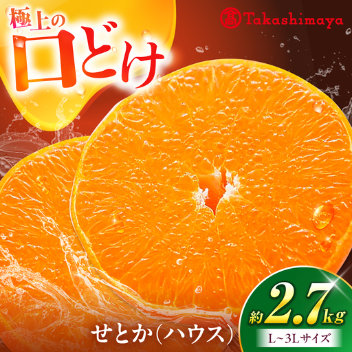 みかん せとか ハウス 約2.7kg みかん