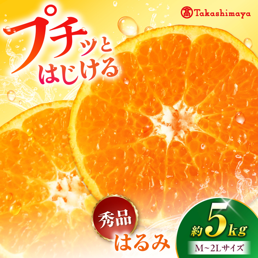 みかん はるみ 約5kg みかん
