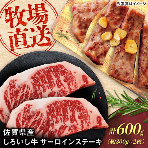 佐賀県産 しろいし牛 サーロインステーキ 600g(約300g×2枚) / 牧場直送 国産 牛肉 ステーキ サーロイン / 佐賀県 / 有限会社佐賀セントラル牧場