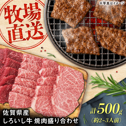 佐賀県産 しろいし牛 焼肉盛り合わせ 500g(約2-3人前) / 牧場直送 国産 牛肉 焼肉 希少部位 / 佐賀県 / 有限会社佐賀セントラル牧場