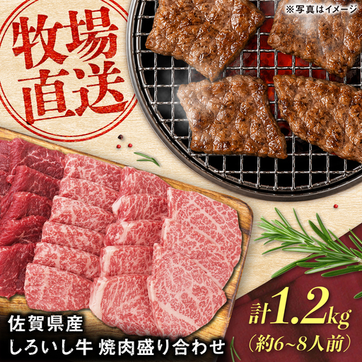 佐賀県産 しろいし牛 焼肉盛り合わせ 1200g(約6-8人前) / 牧場直送 国産 牛肉 焼肉 希少部位 / 佐賀県 / 有限会社佐賀セントラル牧場