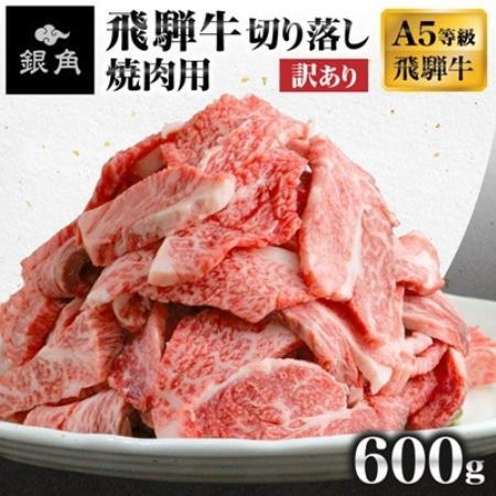 【毎月定期便】【訳あり】飛騨牛切り落し焼肉用600g全3回【配送不可地域：離島】【4090432】