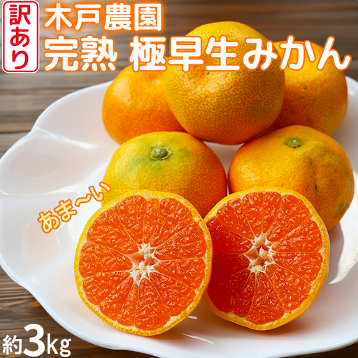 完熟 極早生 みかん 訳あり (おおいた早生) 約3kg [木戸農園] 11月 果物 フルーツ 数量限定 期間限定 九州 大分県 [113-013]
