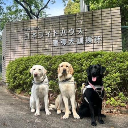 [返礼品なし]盲導犬育成へのご寄付 〜皆様の支援が社会をつなぐ〜 3万円
