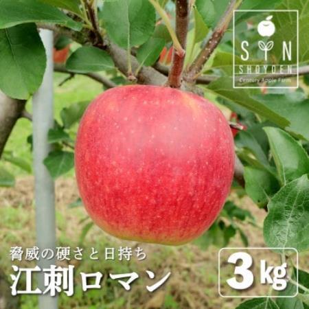 りんご 早生 江刺ロマン 3kg 松陽園 樹上完熟 農家直送 岩手県 遠野市 先行予約【配送不可地域：離島】【1768591】
