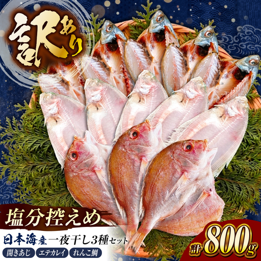 訳あり 旬 干物 詰め合わせ 800g 干物