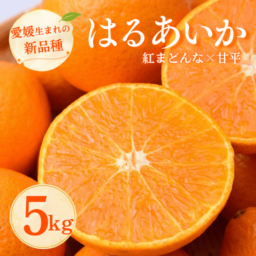 はるあいか 5kg 秀S〜4Lサイズ みかん