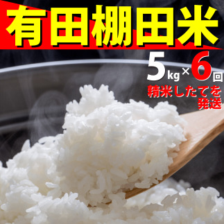 ＜予約受付＞ 令和8年 新米 『10月下旬より順次発送』『数量限定』令和8年産 有田 棚田米 5kg<6回定期便> 合計 30kg【みゆきファーム】米 5kg 精米済 白米 定期便 減農薬 organic 棚田米 有田町 令和8年度産 新米 | 100000円以内 10万円以内 | ft003