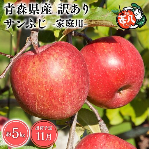 りんご 家庭用サンふじ５kg りんご