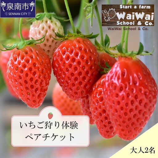 いちご狩り体験ペアチケット(大人2名)[ふるさと納税3.0][117D-003]