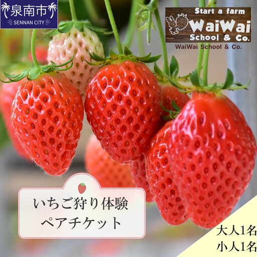 いちご狩り体験ペアチケット(大人1名・小人1名)[ふるさと納税3.0][117D-004]