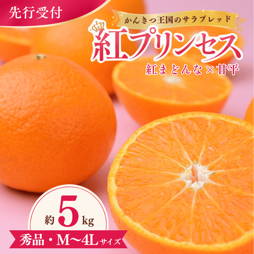 [先行受付]紅プリンセス 5kg 秀 M〜4Lサイズ | 紅まどんな × 甘平 みかん 愛媛 愛媛県産 ミカン 蜜柑 愛果48号 新品種 柑橘 かんきつ フルーツ 果物 国産フルーツ 国産 愛媛みかん 愛媛ミカン 数量限定 愛媛県 上島町