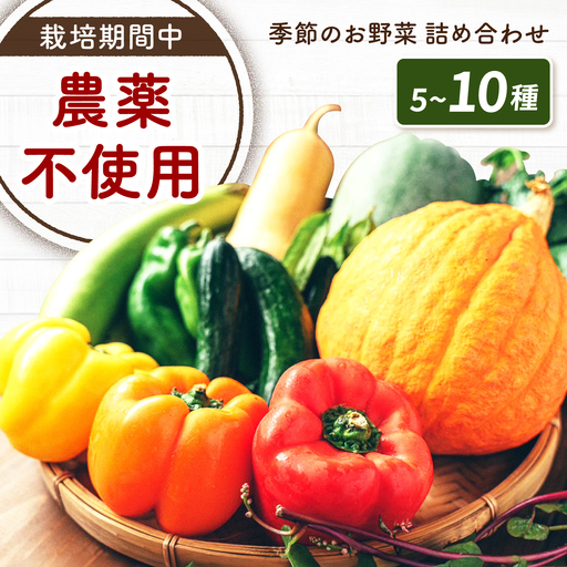 野菜 季節の野菜詰め合わせ [BAHK001] 野菜
