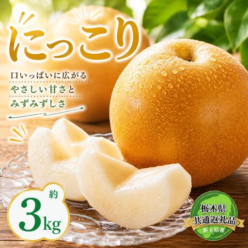 【2026年先行予約】栃木県共通返礼品 宇都宮産 にっこり 3kg | にっこり 新高 豊水 梨 なし 新品種 先行予約 大粒 新鮮 甘い 美味しい 果物 共通返礼品 フルーツ デザート 栃木県 那珂川町 送料無料