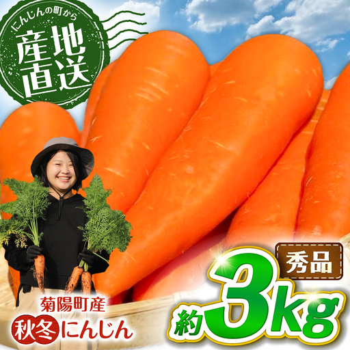 [先行予約]2026年11月より順次発送 菊陽秋冬にんじん 秀品 約3kg / にんじん