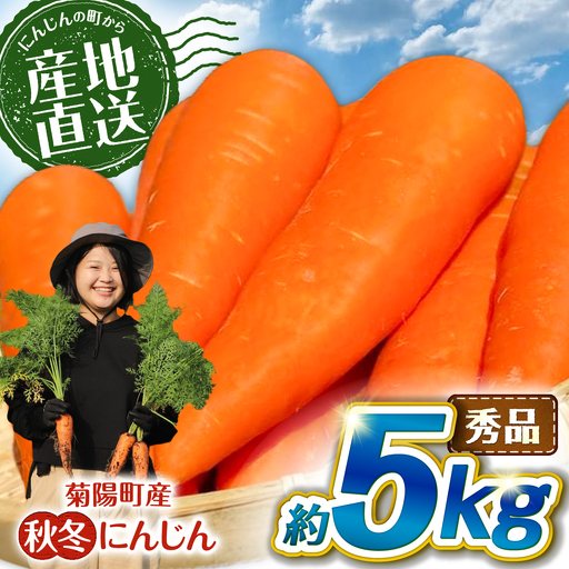 先行予約 2026年11月より順次発送菊陽秋冬にんじん 秀品 約5kg / にんじん にんじん