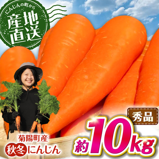 [先行予約]2026年11月より順次発送 菊陽秋冬にんじん 秀品 約10kg / にんじん 秋冬にんじん