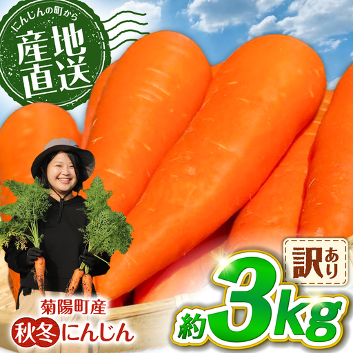 [先行予約 2026年11月より順次発送]菊陽秋冬にんじん (訳あり) 約3kg / 人参 にんじんB