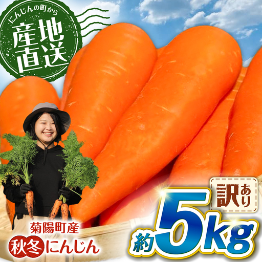 先行予約 2026年11月より順次発送 菊陽秋冬にんじん (訳あり) 約5kg / にんじん 菊陽にんじんB