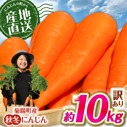 先行予約 2026年11月より順次発送 菊陽秋冬にんじん (訳あり) 約10kg / にんじん