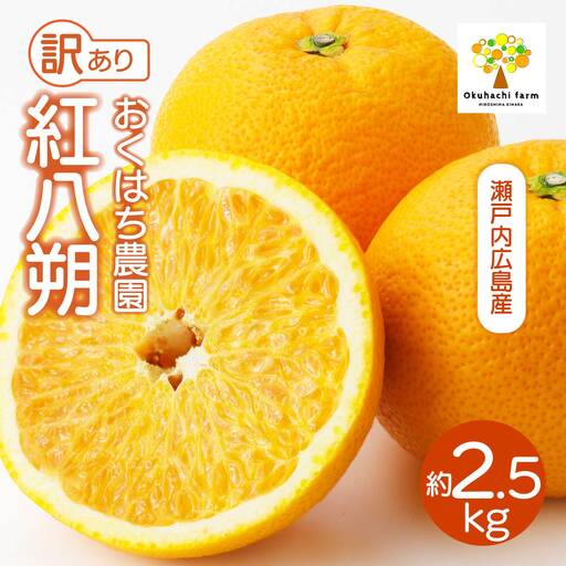 [訳あり] 紅八朔 2.5kg [2027年2〜3月発送予定]栽培期間中 防腐剤 ワックス 不使用 おくはち農園 旬 柑橘 かんきつ はっさく フルーツ 果物 瀬戸内 166005