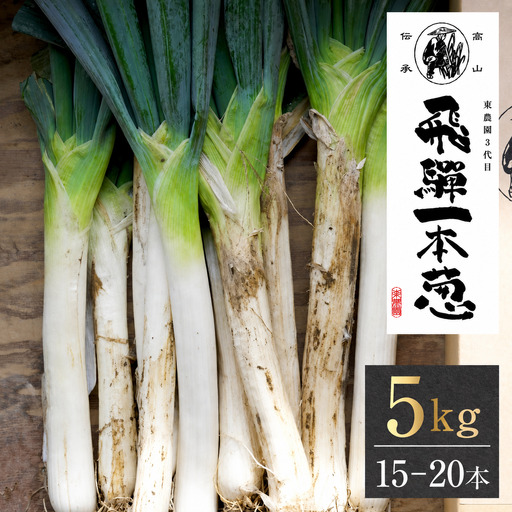 [先行予約]飛騨一本葱 プレミアム5キロ(15本‐20本) 葱 ねぎ