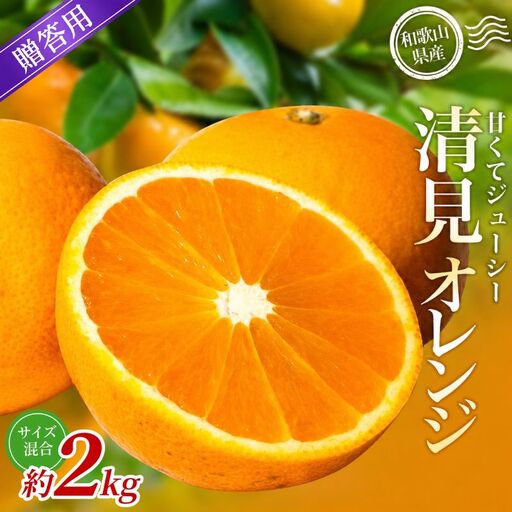 [贈答用] 森本農園の手選別 清見オレンジ 約2kg 和歌山県産 サイズ混合 [北海道・沖縄・離島配送不可][2027年2月上旬〜5月中旬頃に順次発送][BV-mrmt136]