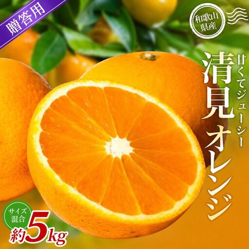 【贈答用】 森本農園の手選別 清見オレンジ 約5kg 和歌山県産 サイズ混合 【北海道・沖縄・離島配送不可】【2027年2月上旬～5月中旬頃に順次発送】【BV-mrmt137A】