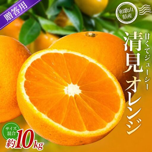【贈答用】 森本農園の手選別 清見オレンジ 約10kg 和歌山県産 サイズ混合 【北海道・沖縄・離島配送不可】【2027年2月上旬～5月中旬頃に順次発送】【BV-mrmt138A】
