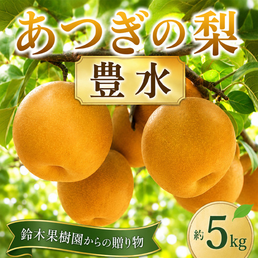 梨 豊水 豊水梨 約 5kg 1箱