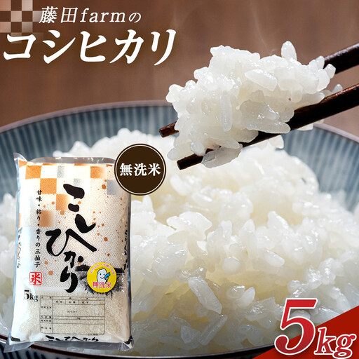 [先行予約受付]≪10月上旬発送≫令和8年産 大田原市 藤田farmのコシヒカリ [無洗米] 5kg |栃木県産 米 お米 コメ こしひかり コシヒカリ 栃木県 [選べる容量]5kg 10kg 数量限定