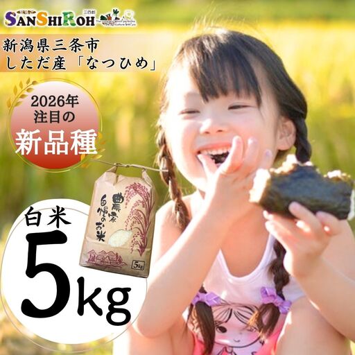 新潟県 三条市 しただ産 なつひめ 5kg 白米 新米 令和8年 新品種 産地直送 えちご三四郎