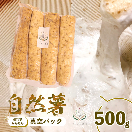 [2026年度先行予約]500g 自然薯 真空パック 静岡県 牧之原市 やまあい農園