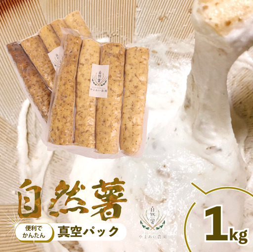 [2026年度先行予約]1kg 自然薯 真空パック 静岡県 牧之原市 やまあい自然薯菜園