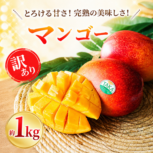 [2026年順次発送]訳あり 完熟マンゴー 約1kg フルーツ 果物 冷蔵