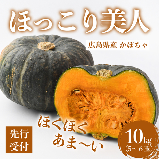 【先行受付】かぼちゃ「ほっこり美人」10kg（5～6玉） 2026年11月下旬より順次発送 広島県三原市久井町産 清流の郷 泉 カボチャ 南瓜 野菜 煮物 サラダ 196004