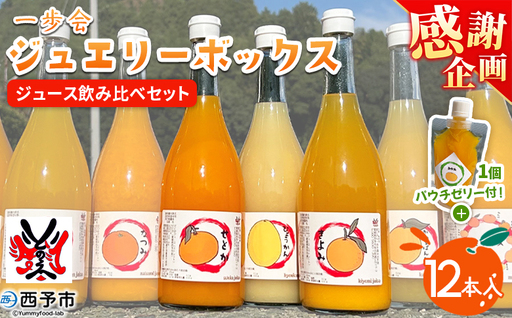 [感謝企画][一歩会 ジュエリーボックス ジュース飲み比べセット 720ml×12本入り]『1か月以内に順次出荷予定』果汁100%ストレートジュース 愛媛 みかん ミカン 柑橘 果物 フルーツ 特産品 渡江から一歩を踏み出す会 飲んで応援 愛媛県 西予市[常温]ATI0063