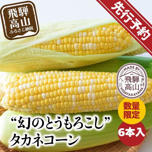 【先行予約】  幻のとうもろこし タカネコーン 6本入 とうもろこし トウモロコシ コーン 糖度 甘い 限定 たかねコーン 飛騨高山産 夏 野菜 飛騨 岐阜 数量限定  BA014