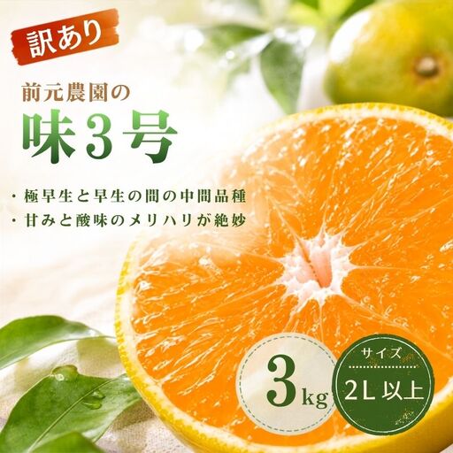 訳あり 前元農園の味3号 3kg 2L以上(大サイズ)[2026年10月下旬頃〜順次発送予定] / フルーツ みかん 蜜柑 三重県 高品質 みえ アルギット 訳あり[mmg043]