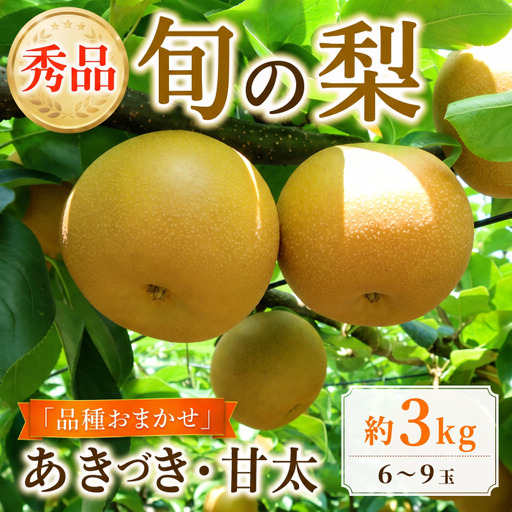 梨 約 3kg 贈答品 品種おまかせ梨