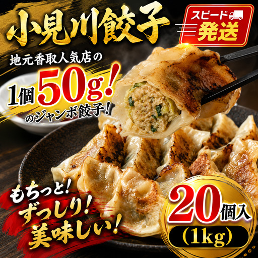 ジャンボ 餃子 1kg 20個 ４パック ぎょうざ 冷凍 OGS005