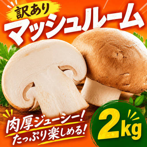 [先行予約]マッシュルーム 訳あり 2kg [マッシュルーム]|