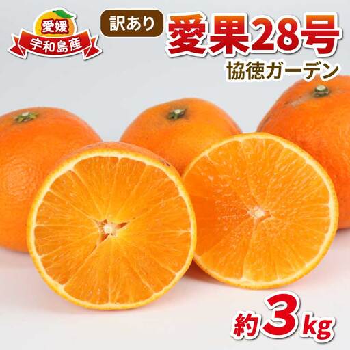 訳あり 愛果28号 ( 紅まどんな と同品種) 3kg 協徳ガーデン 紅まどんな
