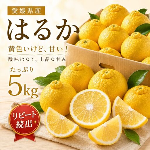 はるか 約5kg 家庭用 [2027年2月中旬頃から順次発送] はるか 