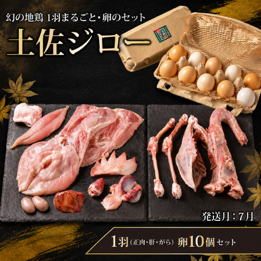 鶏肉 卵 土佐ジロー 1羽・卵 セット[7月発送] 地鶏