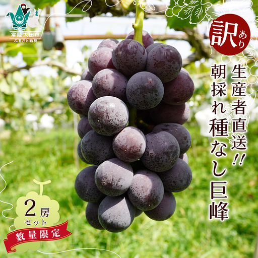 訳あり ぶどう 巨峰 種なし 2房