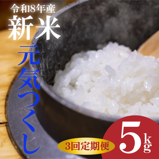 令和8年産新米 元気つくし 5kg 3回定期便|米 SNK