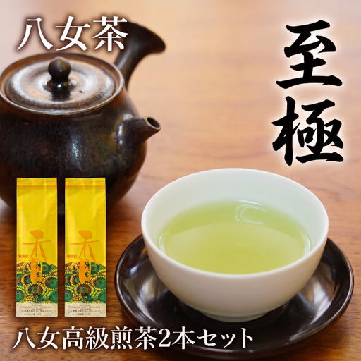 八女高級煎茶90g×2本セット | 高級八女茶 西村園の八女茶 煎茶 贈答用箱なし NME