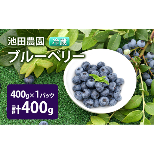 [2027年夏配送]生 ブルーベリー 400g (400g×1パック)