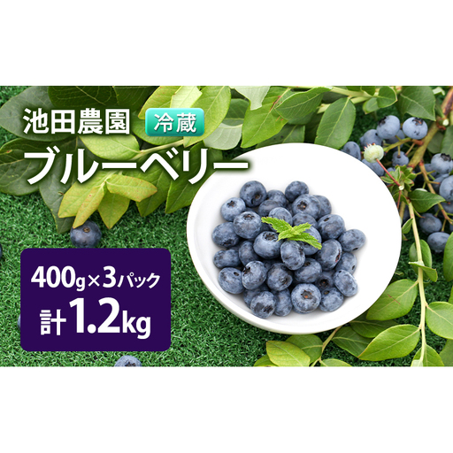 【2027年夏配送】生 ブルーベリー 計1.2kg (400g×3パック)